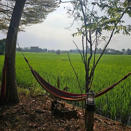 Tung Tong Homestay & Camping Mae Rim Extérieur photo