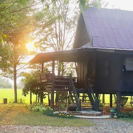 Tung Tong Homestay & Camping Mae Rim Extérieur photo