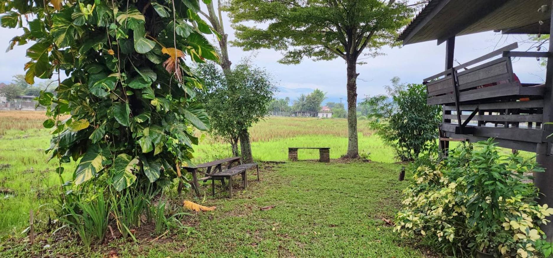 Tung Tong Homestay & Camping Mae Rim Extérieur photo