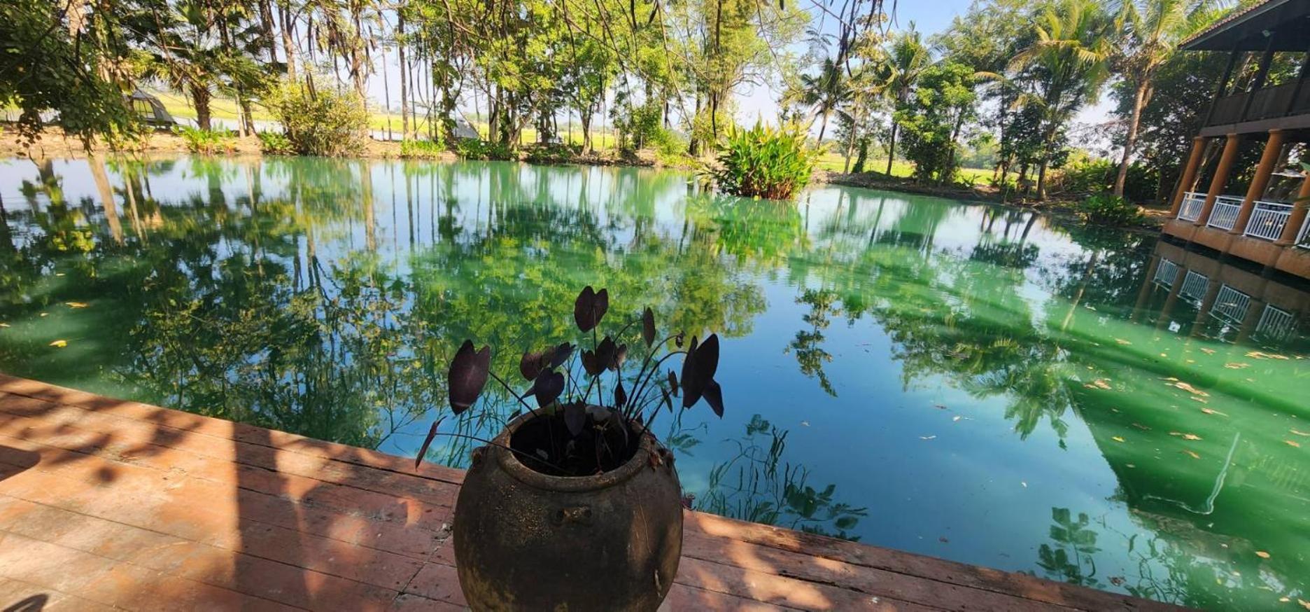 Tung Tong Homestay & Camping Mae Rim Extérieur photo