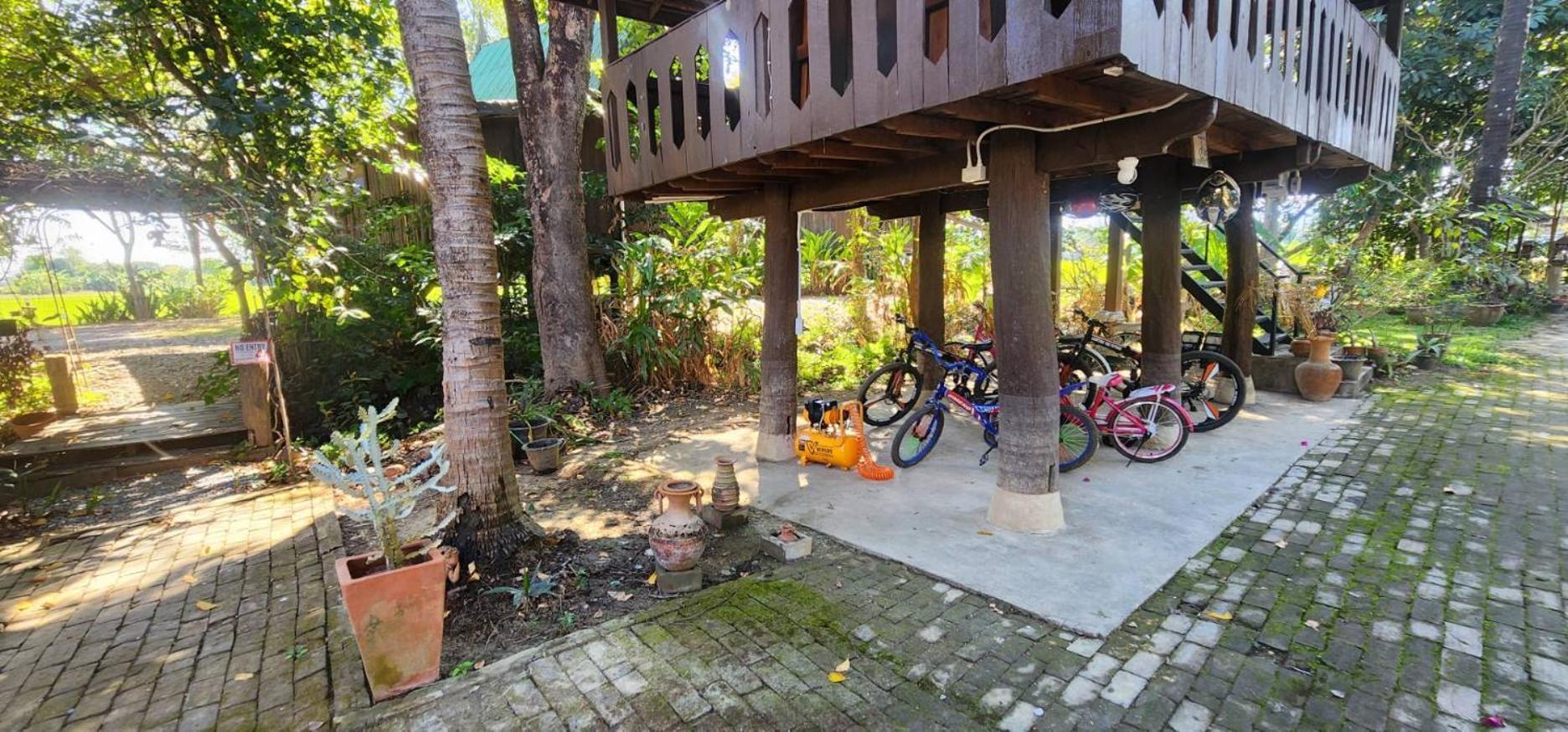 Tung Tong Homestay & Camping Mae Rim Extérieur photo