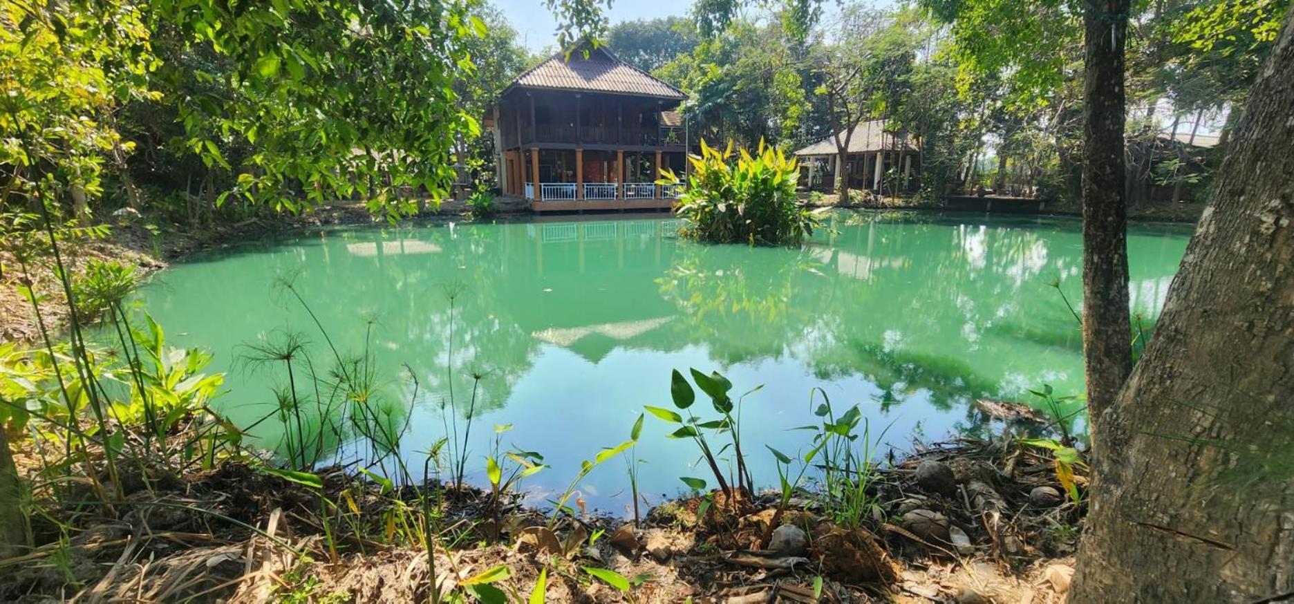 Tung Tong Homestay & Camping Mae Rim Extérieur photo