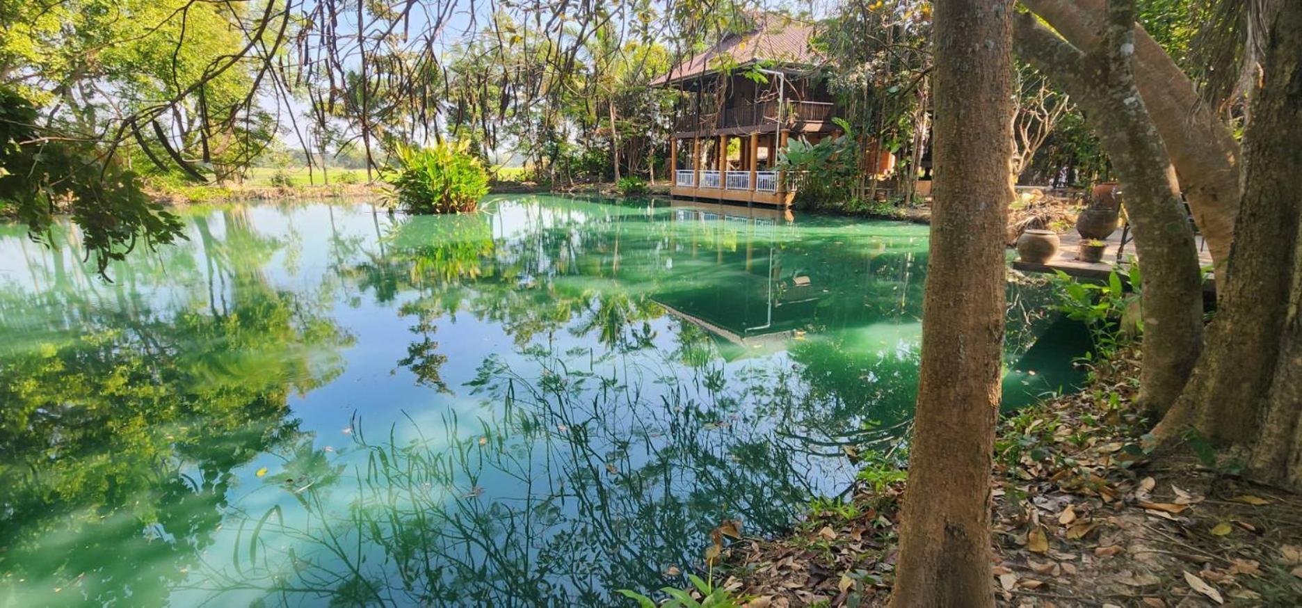 Tung Tong Homestay & Camping Mae Rim Extérieur photo