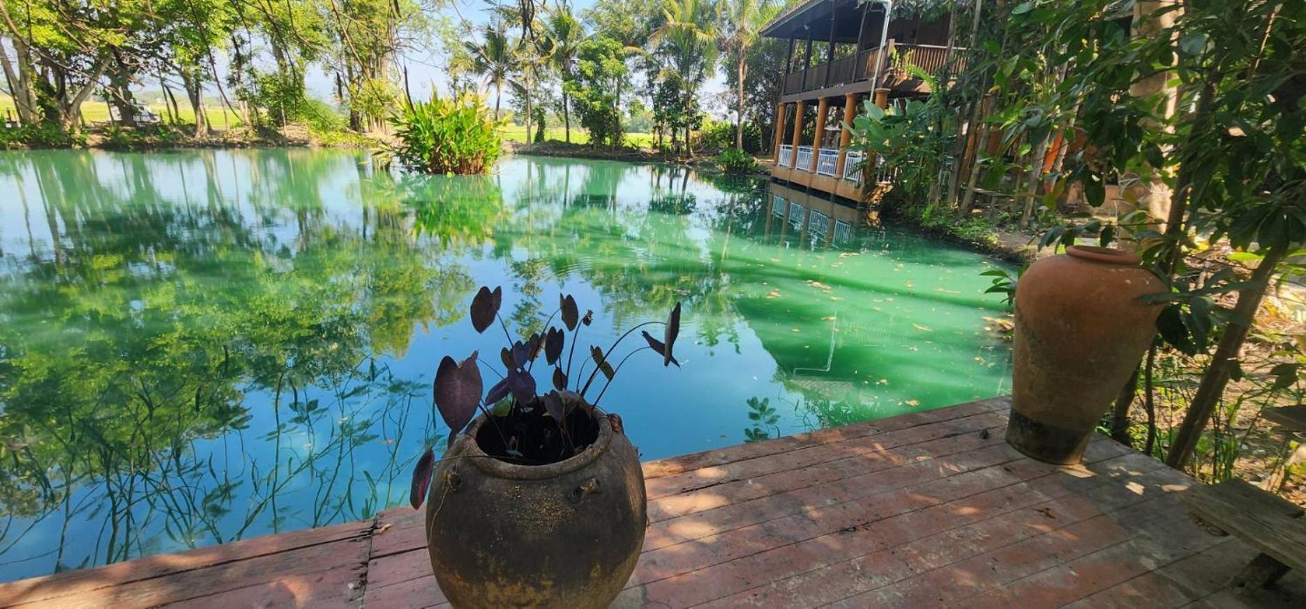 Tung Tong Homestay & Camping Mae Rim Extérieur photo