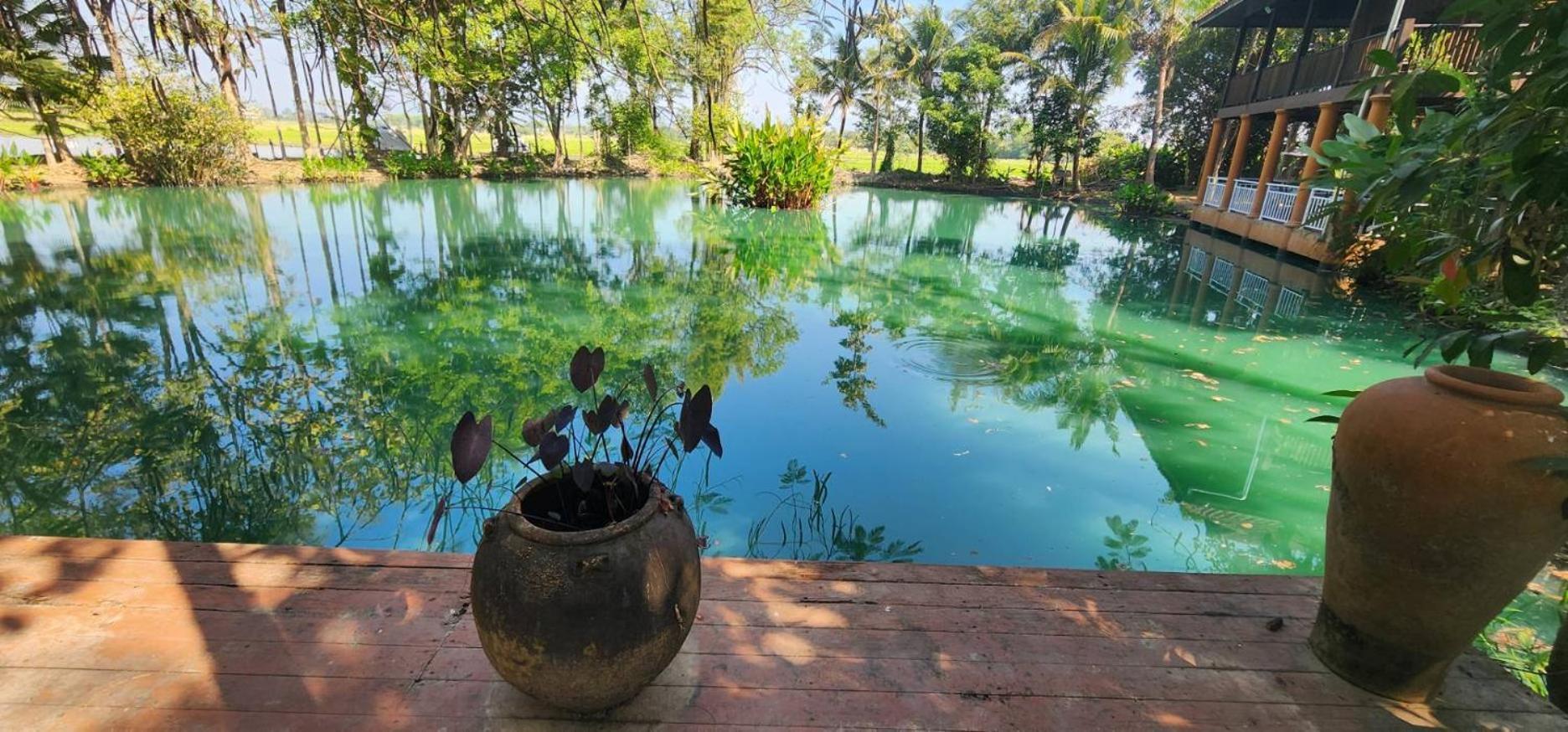 Tung Tong Homestay & Camping Mae Rim Extérieur photo