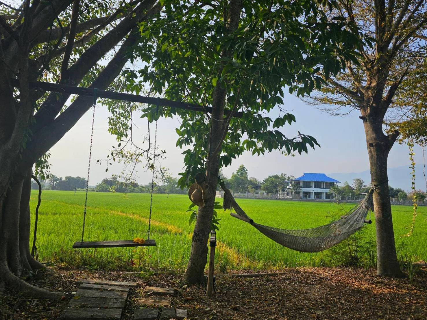 Tung Tong Homestay & Camping Mae Rim Extérieur photo