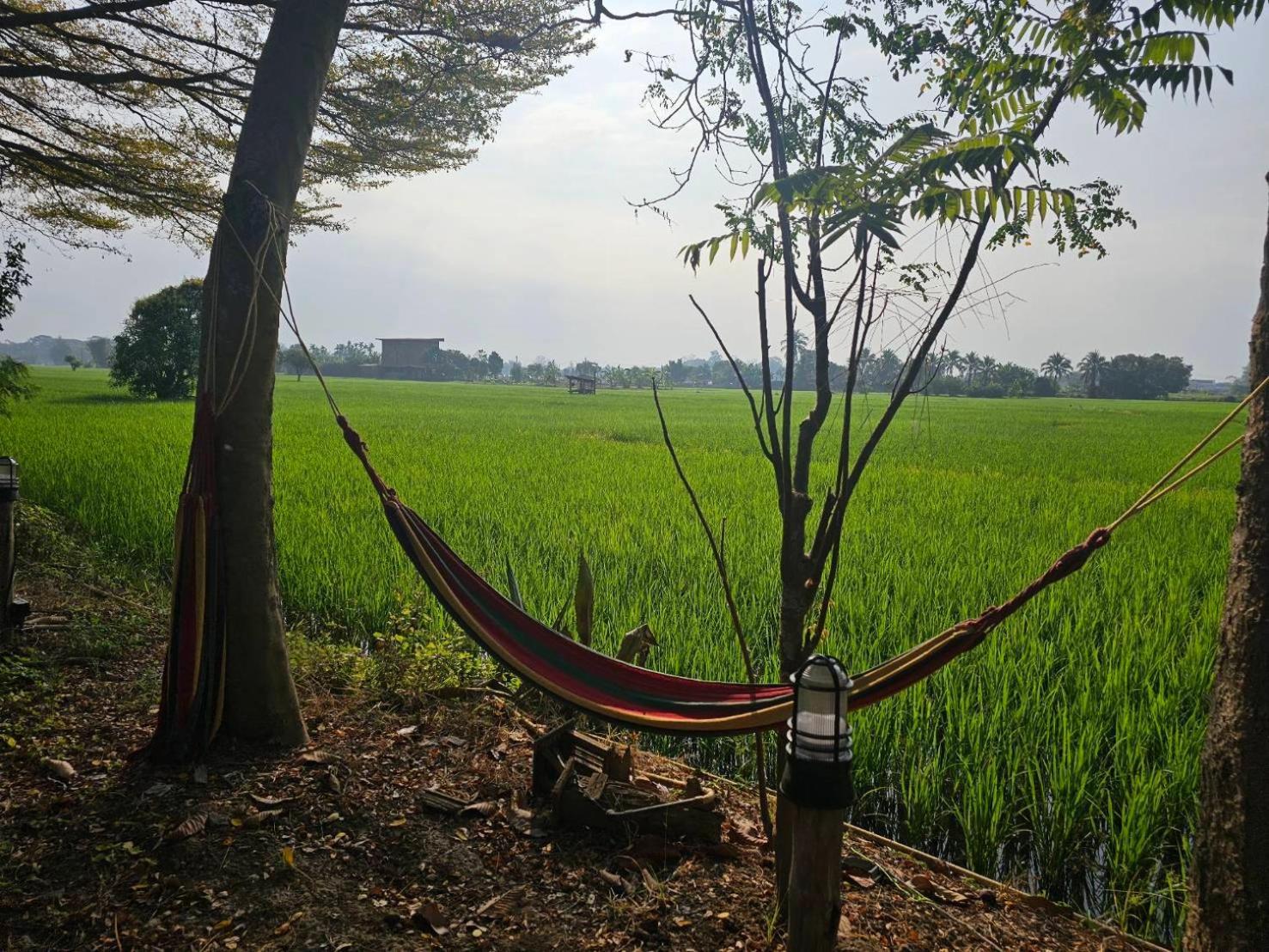 Tung Tong Homestay & Camping Mae Rim Extérieur photo