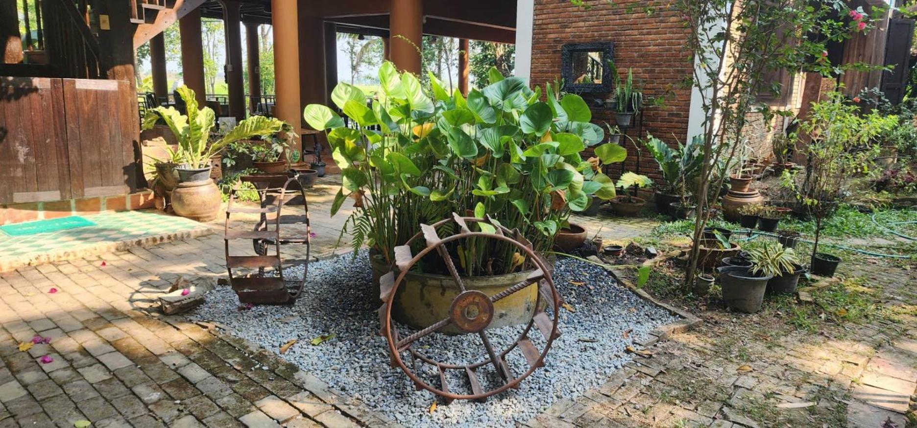 Tung Tong Homestay & Camping Mae Rim Extérieur photo