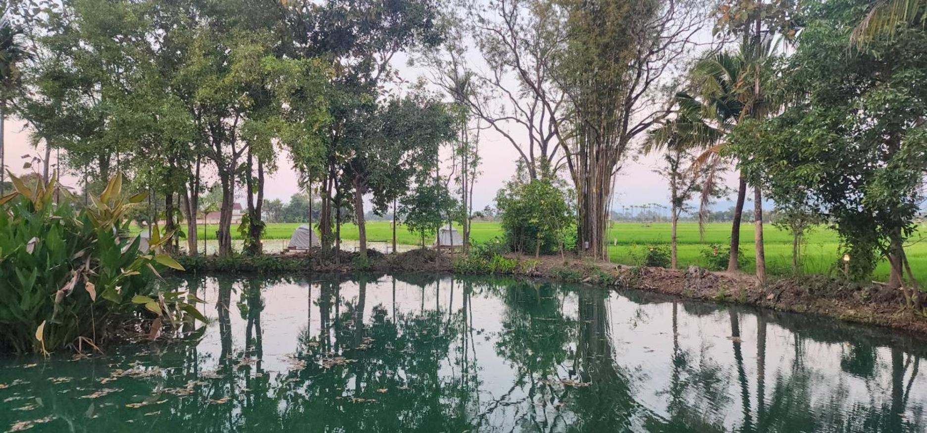Tung Tong Homestay & Camping Mae Rim Extérieur photo