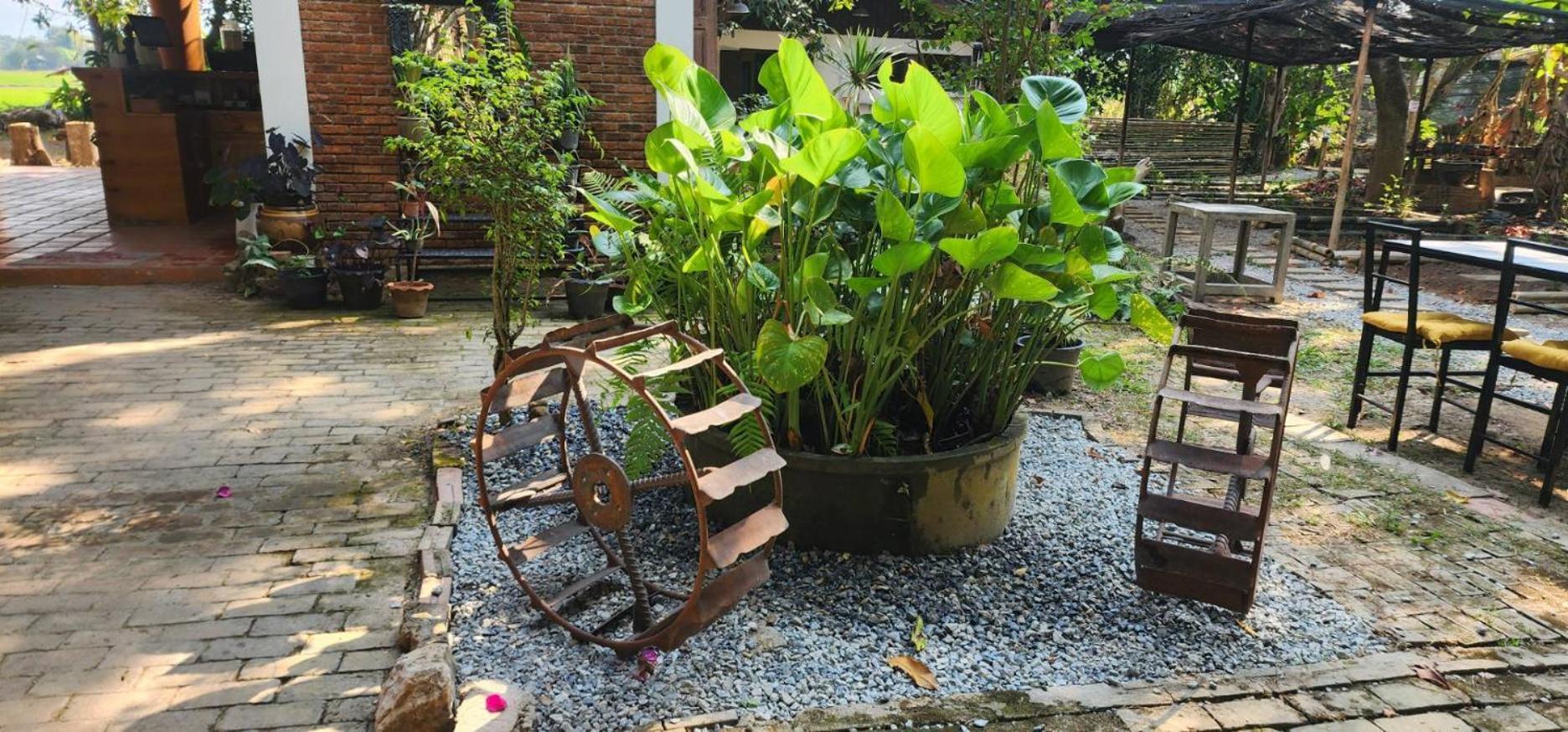 Tung Tong Homestay & Camping Mae Rim Extérieur photo