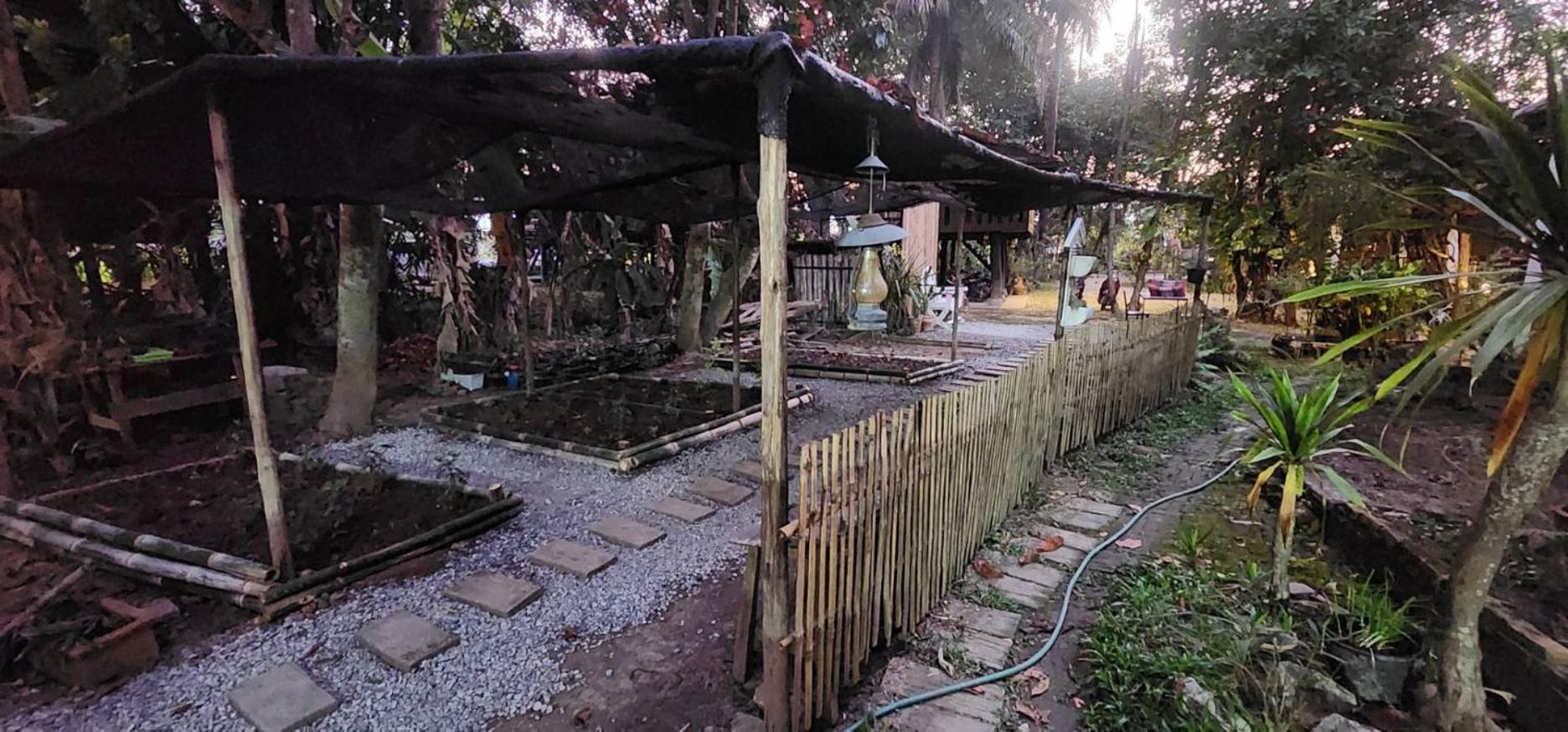 Tung Tong Homestay & Camping Mae Rim Extérieur photo