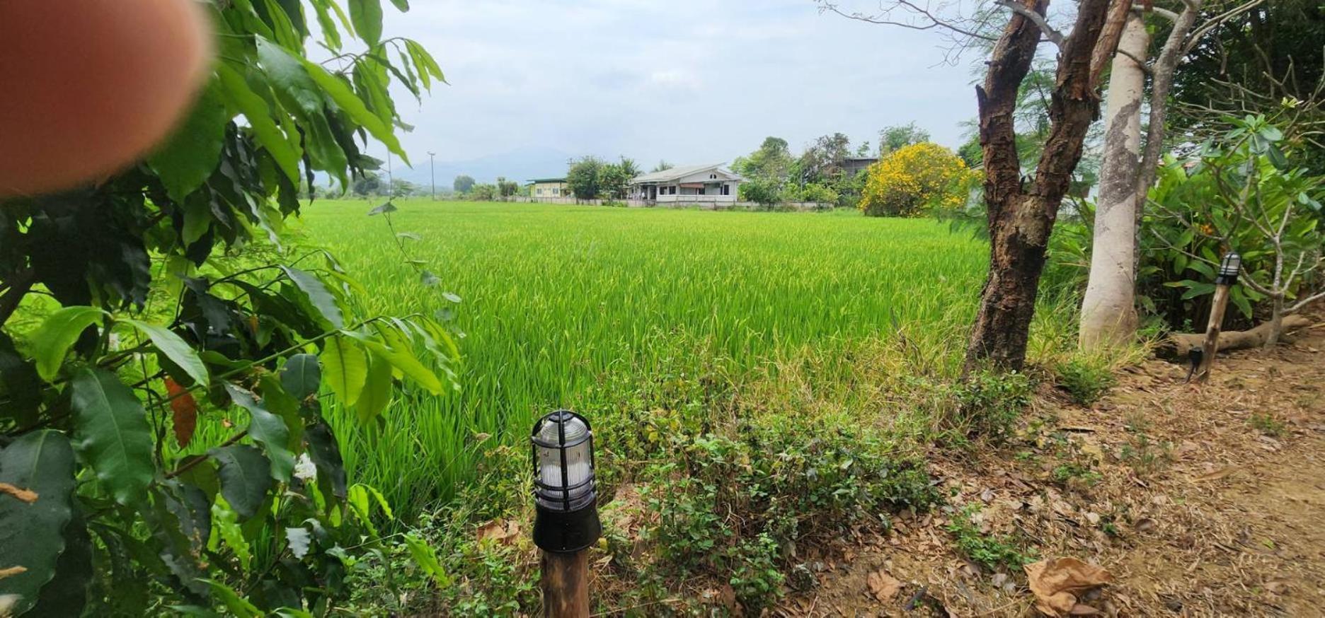 Tung Tong Homestay & Camping Mae Rim Extérieur photo