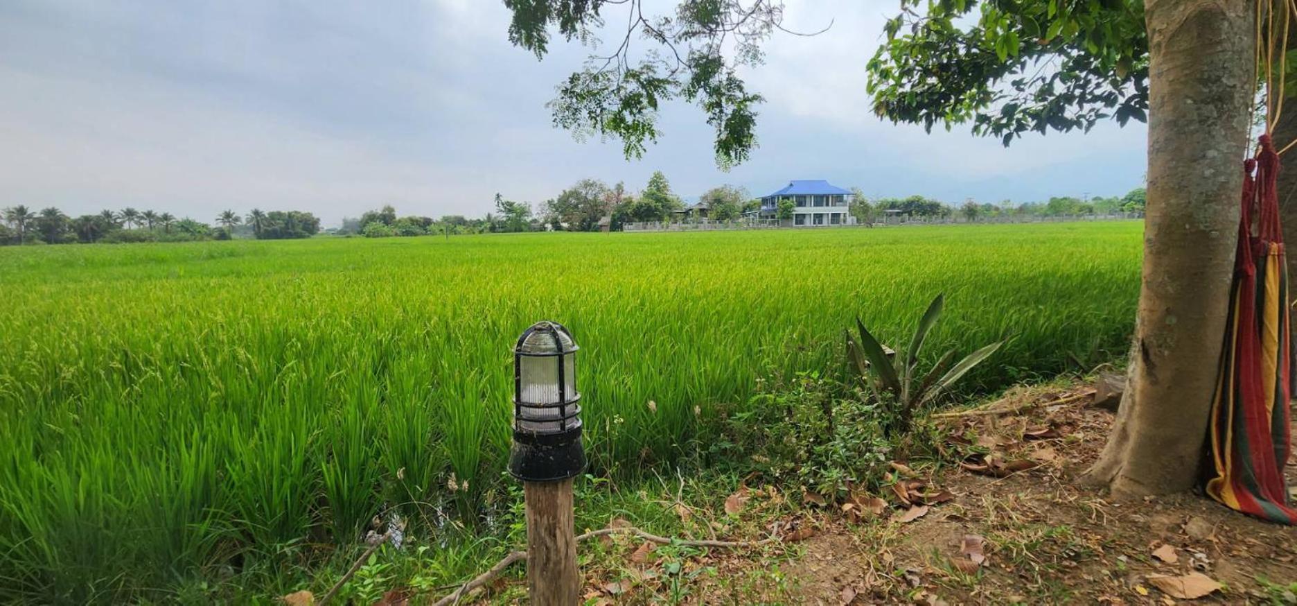 Tung Tong Homestay & Camping Mae Rim Extérieur photo