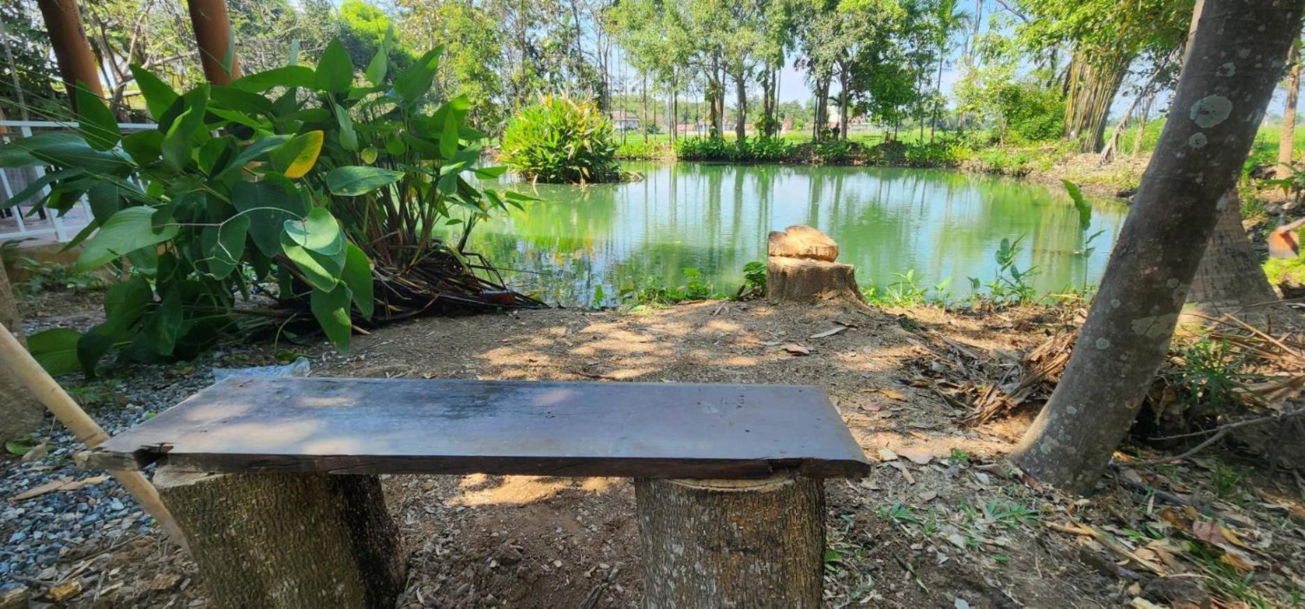 Tung Tong Homestay & Camping Mae Rim Extérieur photo