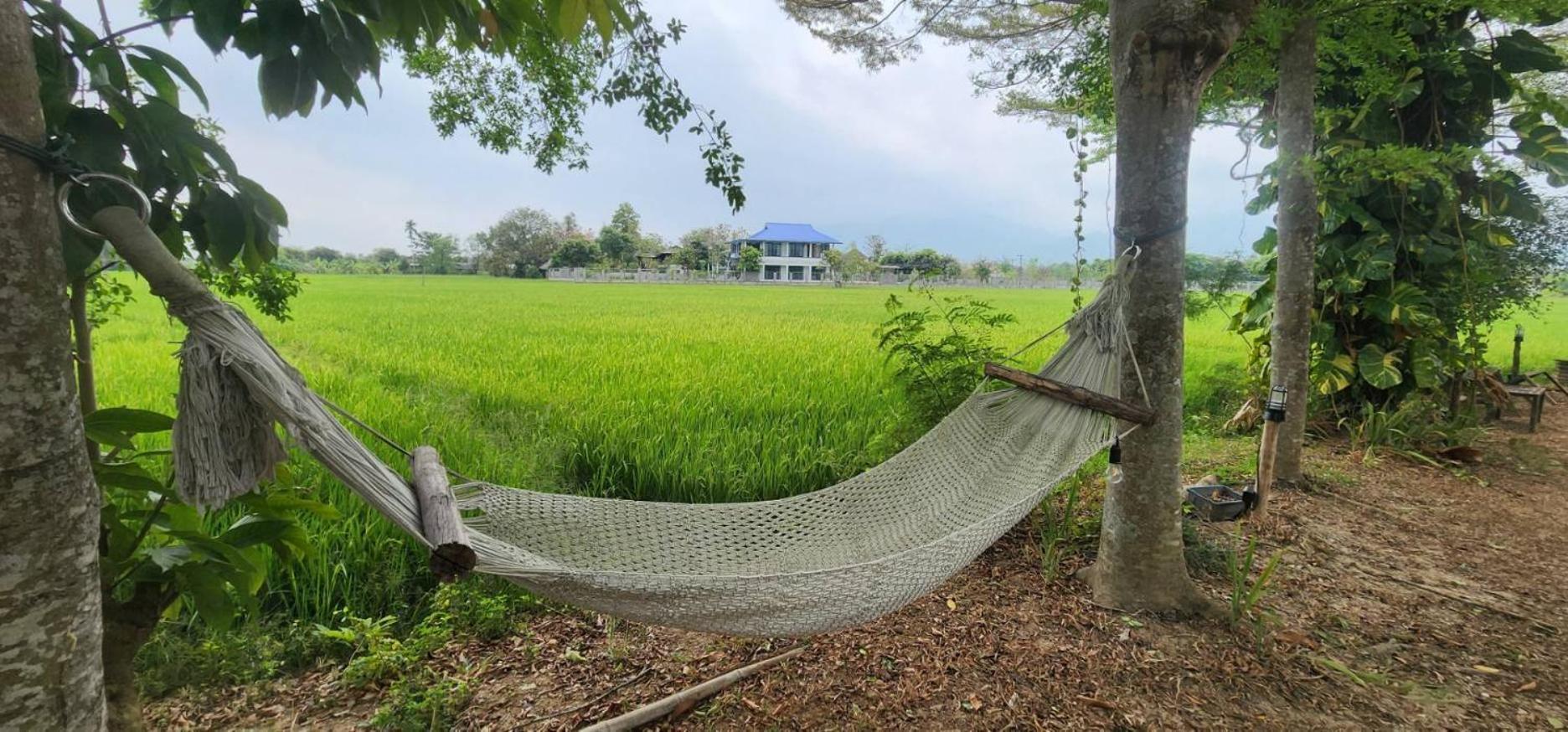 Tung Tong Homestay & Camping Mae Rim Extérieur photo