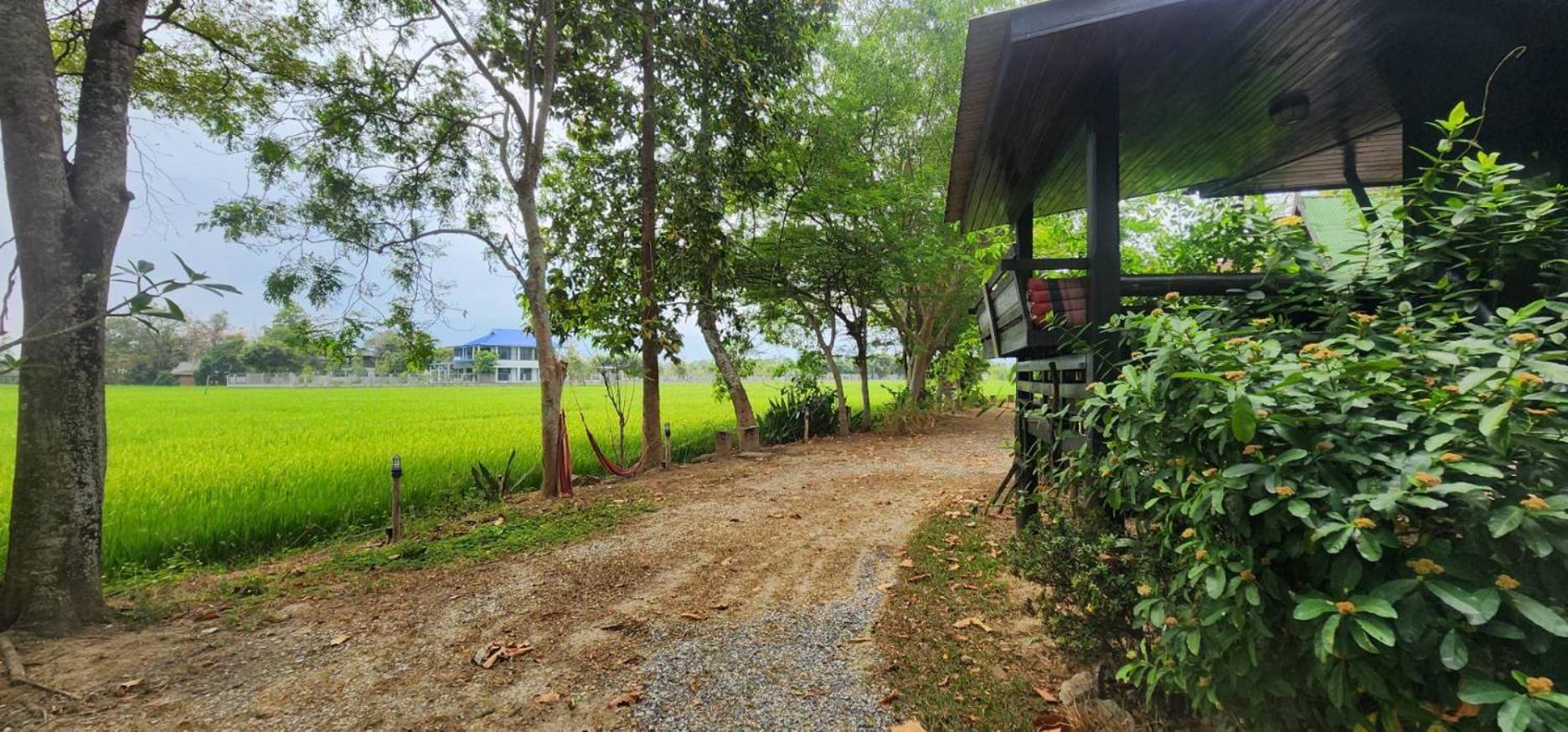 Tung Tong Homestay & Camping Mae Rim Extérieur photo